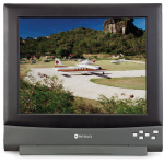 AG NEOVO S-15V monitor