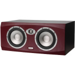 TANNOY Reveal 66P monitor center