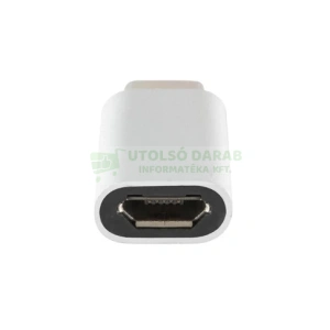 Home USBC A1 átalakító, USB-C dugó, microUSB aljzat
